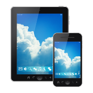 Security for Employee Mobile Devices